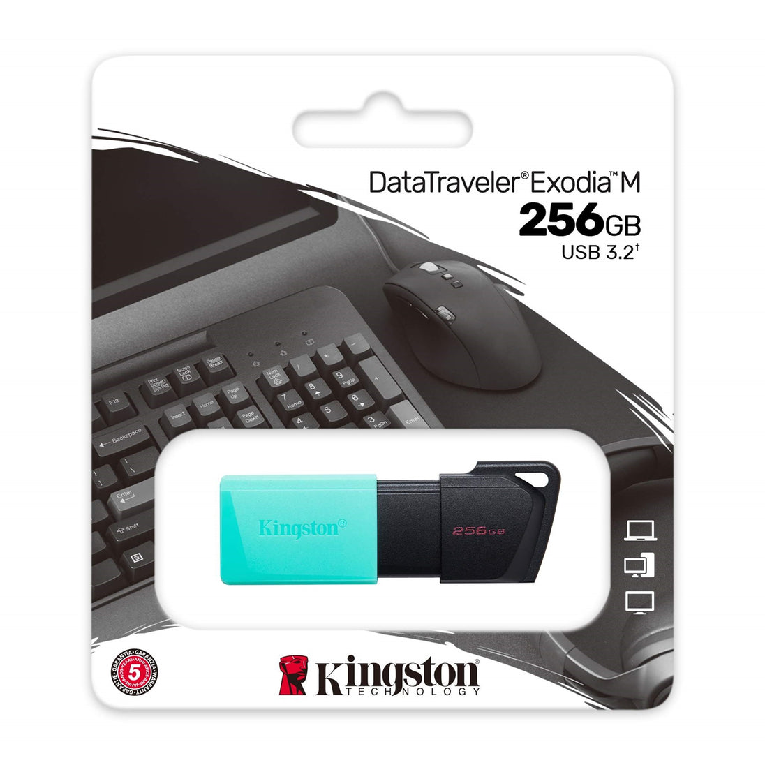 Kingston DataTraveler Exodia M | USB flash drive | 256GB USB 3.2 Gen 1