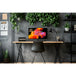 piXL CM32F44K | 32-inch 4K IPS monitor | 60Hz 5ms | Black