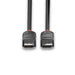 LINDY Black Line 36493 | DisplayPort cable | 1.2 4K 60Hz