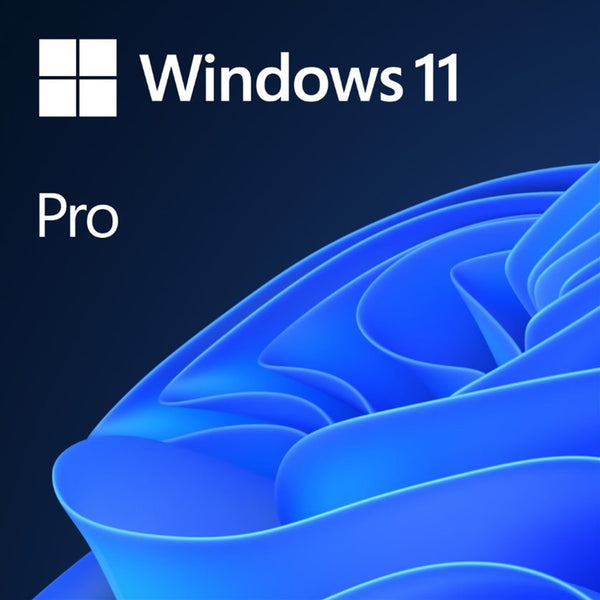 Microsoft Windows 11 Pro | Operating system | 64-bit English | OEM DVD
