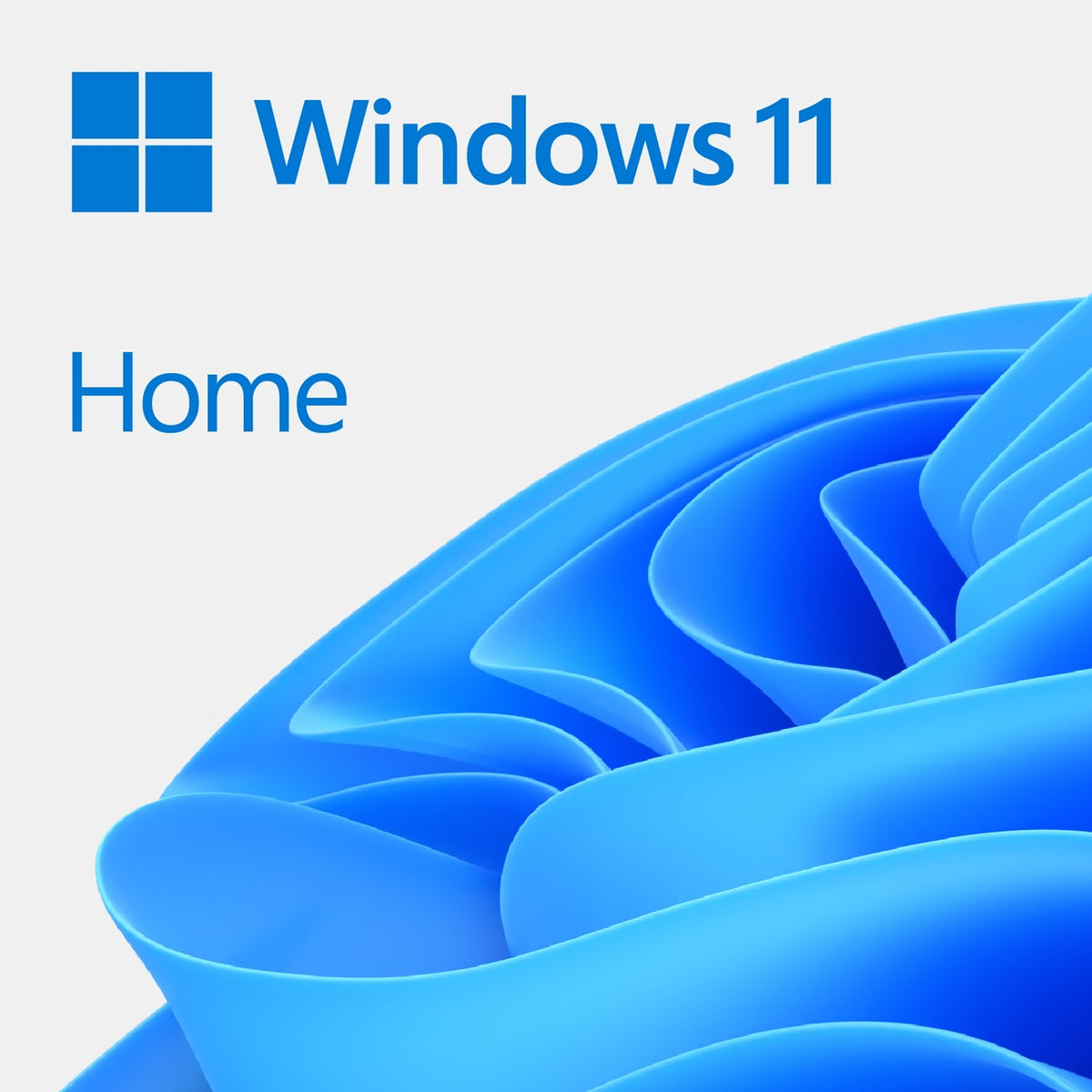 Microsoft Windows 11 Home | Operating system | 64-bit English | OEM DVD