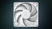 ARCTIC P14 Pro PST | 140 mm PWM case fan | Cable splitter | White