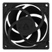 ARCTIC P8 PWM PST CO | 80 mm case fan | PWM PST | Black