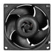 ARCTIC S8038-7K | 80 mm server fan | PWM 500–7000 rpm | 4-pack