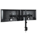 ARCTIC Z2 Basic | Dual monitor arm | VESA 75 x 75 and 100 x 100 | Black