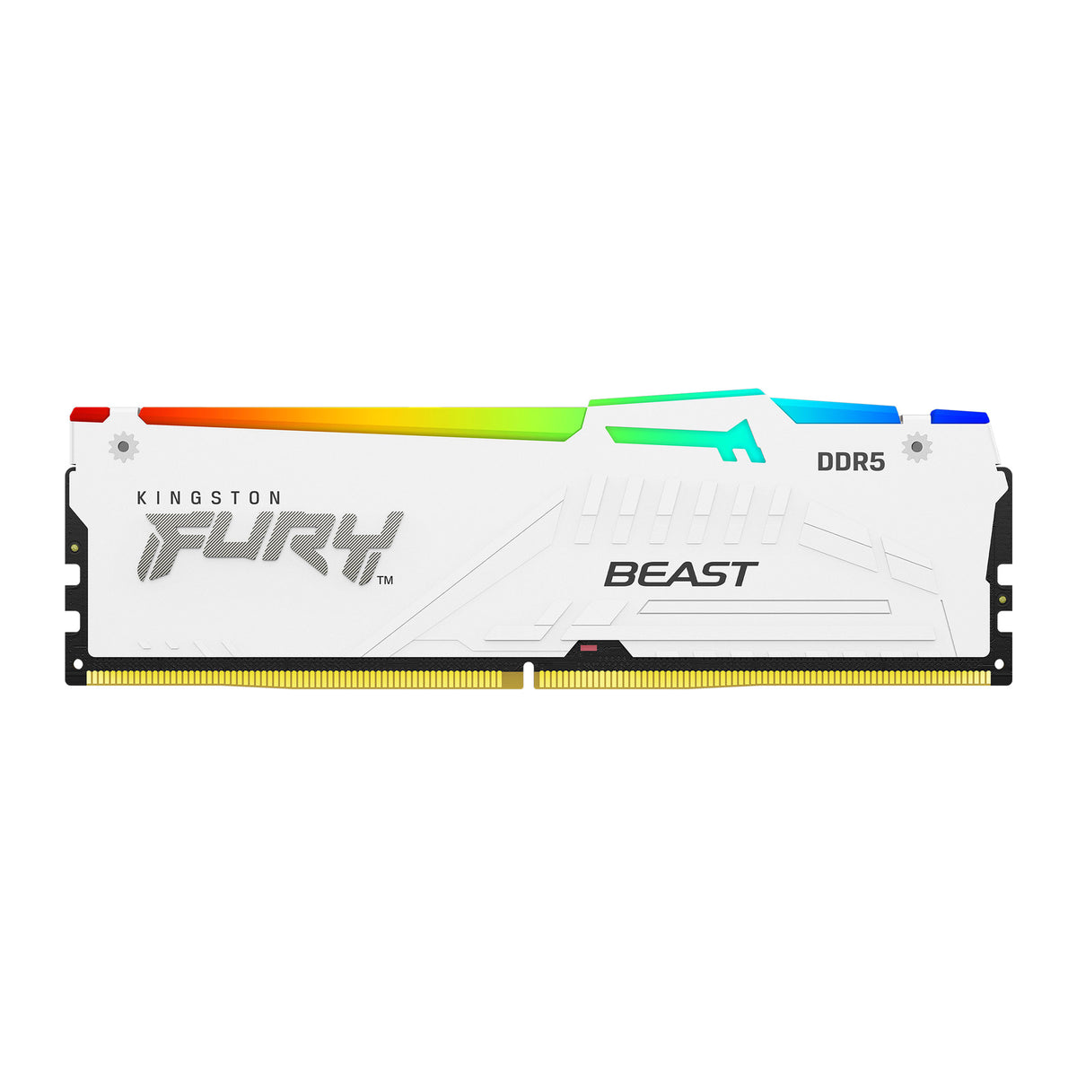 Kingston FURY Beast RGB | DDR5 RAM kit | 64GB 5600MT/s CL36 | White