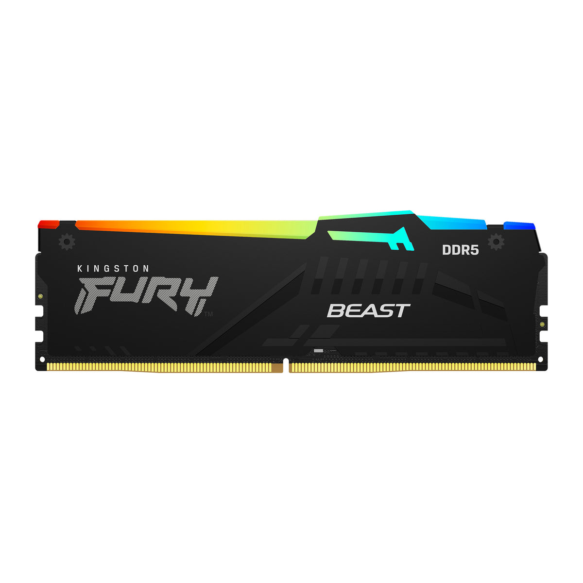 Kingston FURY Beast RGB | DDR5 RAM | 6000MT/s CL36 | 32GB Black