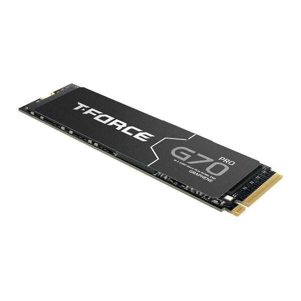 TEAMGROUP T-FORCE G70 PRO | NVMe SSD | PCIe 4.0 | 1TB
